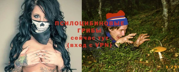 PSILOCYBIN Алексеевка