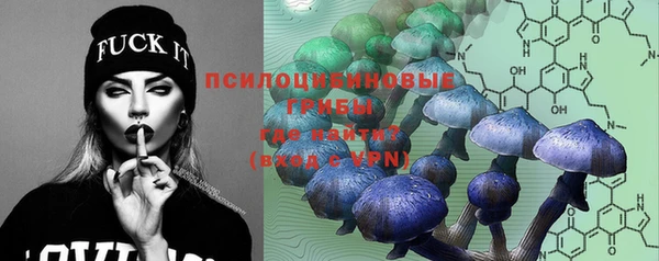 синтетический гашиш Алексин