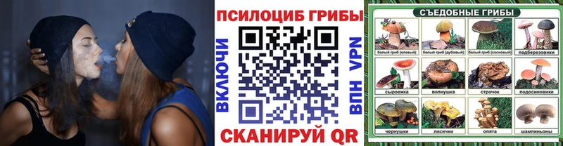 Псилоцибиновые грибы прущие грибы  где продают наркотики  Болгар 